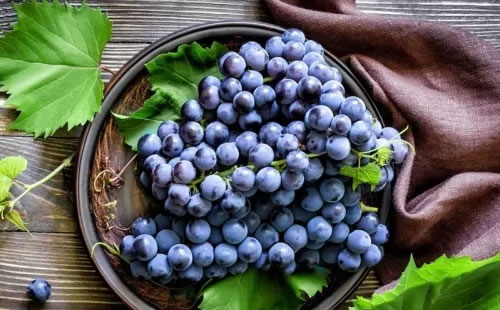 乙肝患者可以吃些葡萄，可以起到保肝护肝的作用！